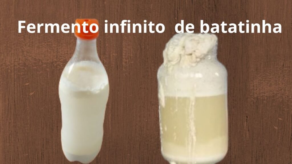 fermento infinito feito de batatinha