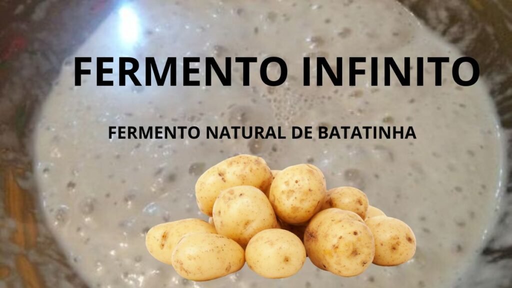 Projeto Fermento Infinito de Batatinha